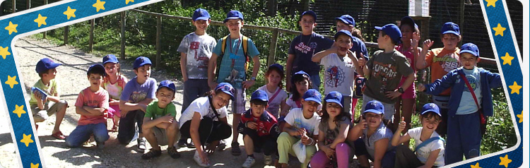 banner jardim infancia