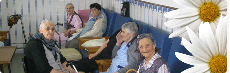 banner jardim infancia