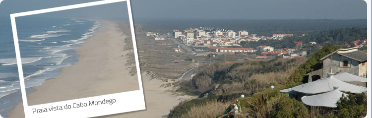 banner jardim infancia