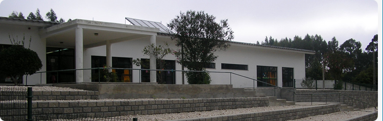 banner jardim infancia