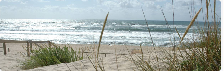 banner jardim infancia