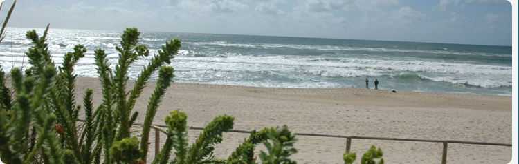 banner jardim infancia