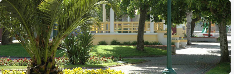 banner jardim infancia