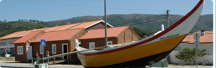 banner jardim infancia