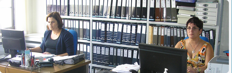 banner jardim infancia